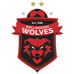 Wollongong Wolves