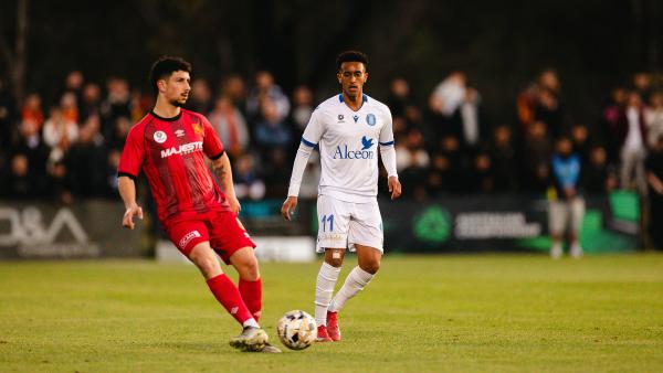 Preston Lions v Avondale