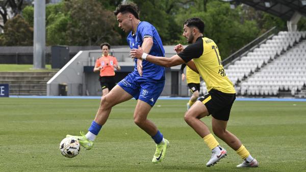 251123__SMB_v_NWS_MARK_AVELLINO-97 2