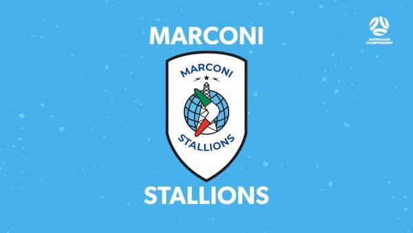 Club Profile | Marconi Stallions