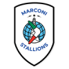 Marconi Stallions FC
